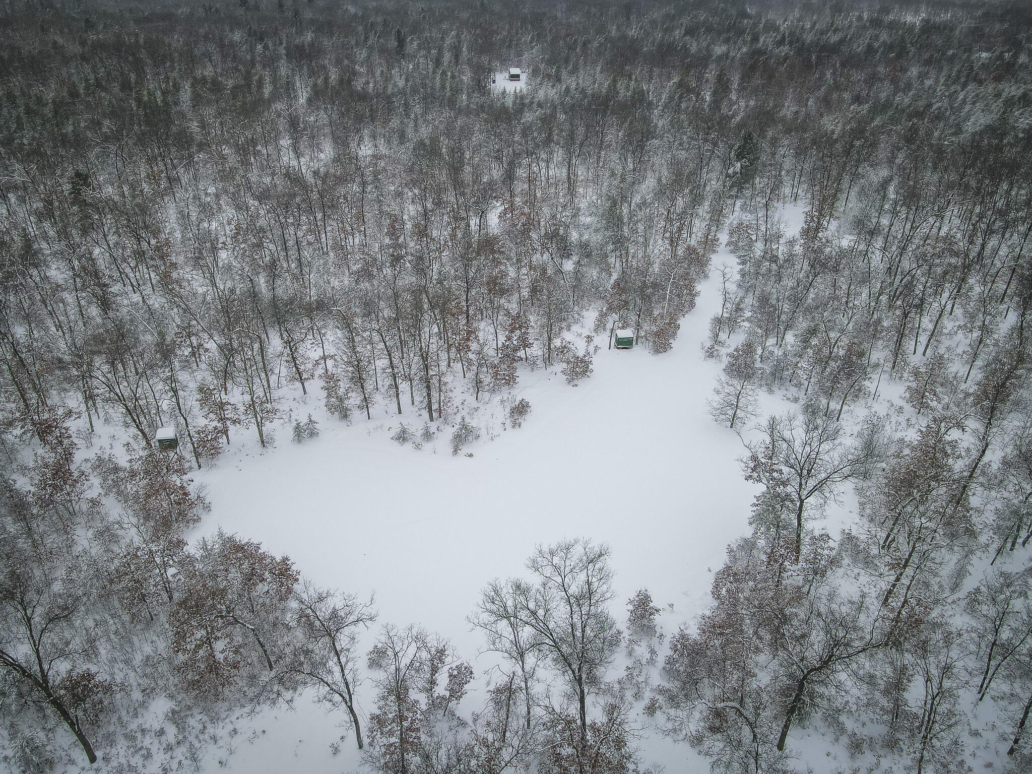 V/l Rybicki Road Free Soil, MI 49411 - Photo 21 of 27 DJI_0926
