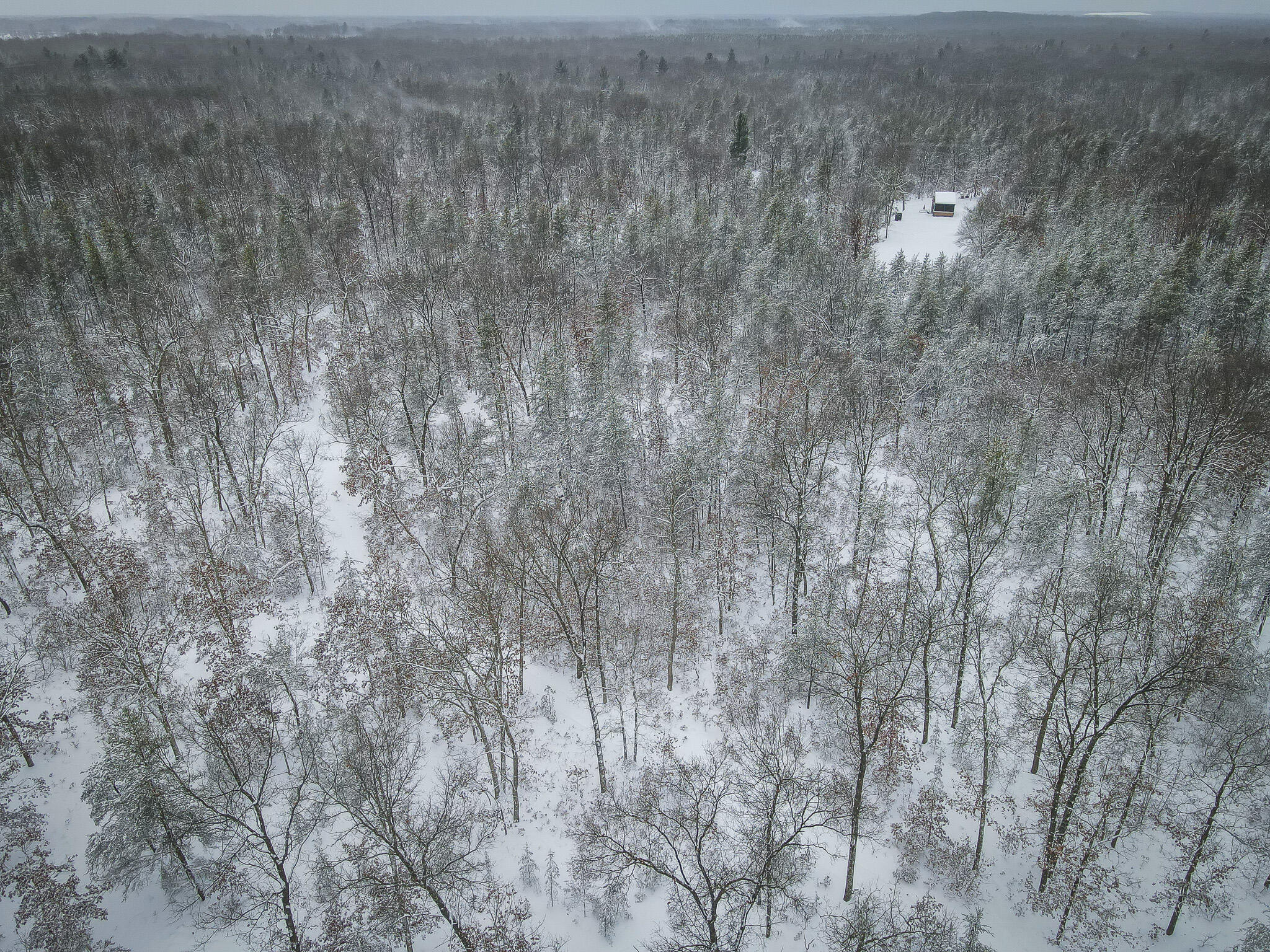 V/l Rybicki Road Free Soil, MI 49411 - Photo 22 of 27 DJI_0929