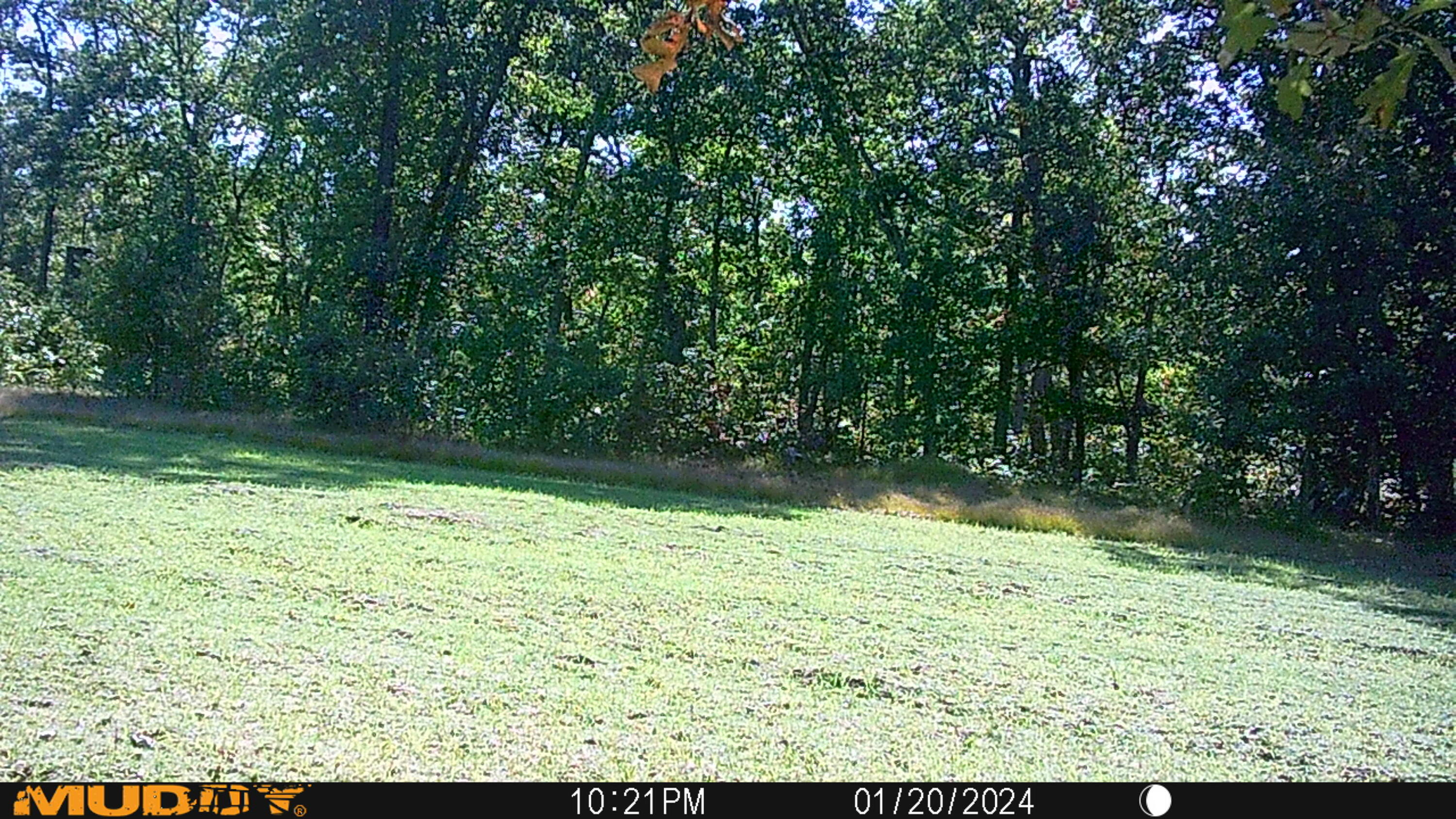 V/l Rybicki Road Free Soil, MI 49411 - Photo 24 of 27 MUD_0108