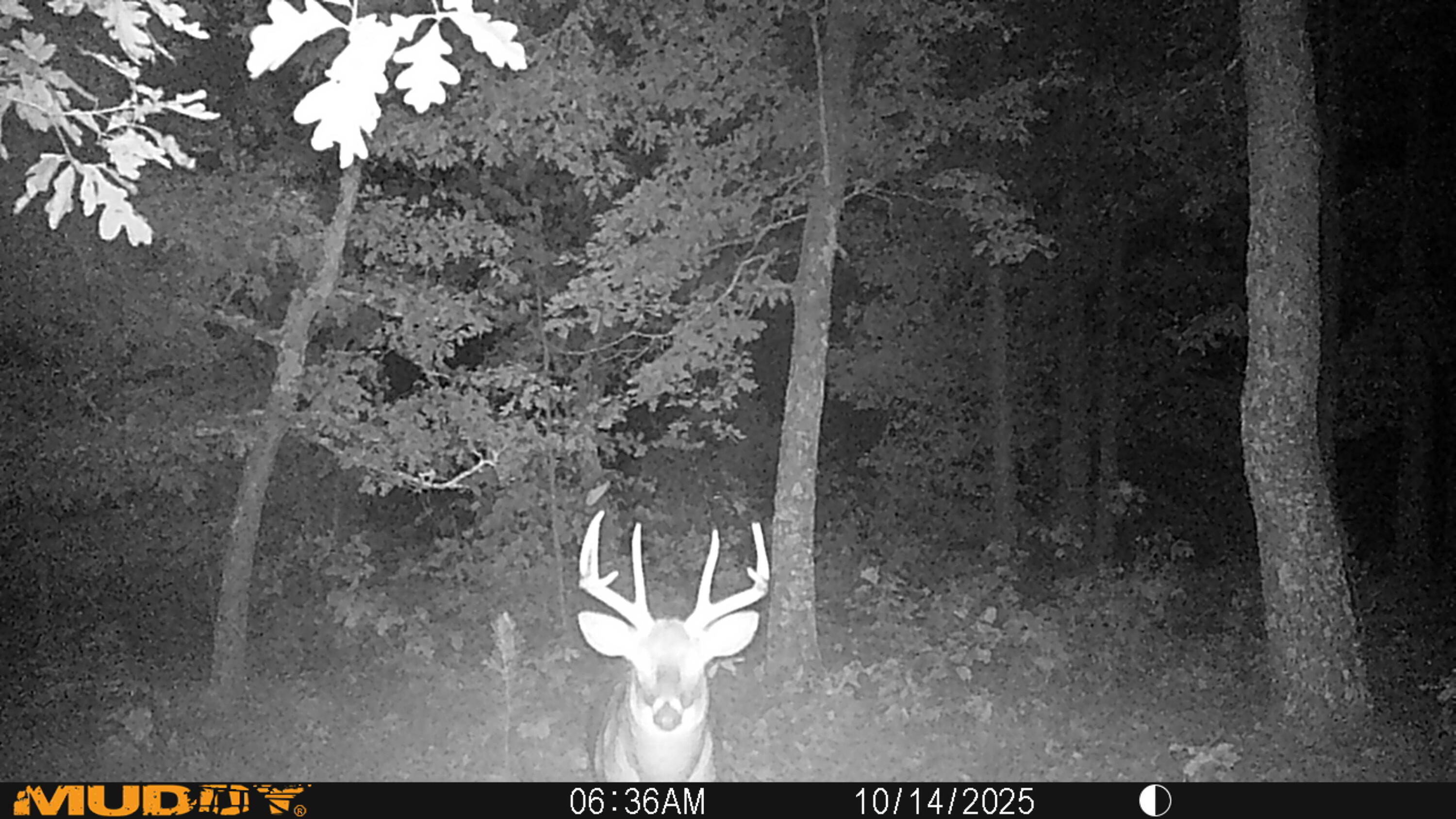 V/l Rybicki Road Free Soil, MI 49411 - Photo 26 of 27 MUD_0451