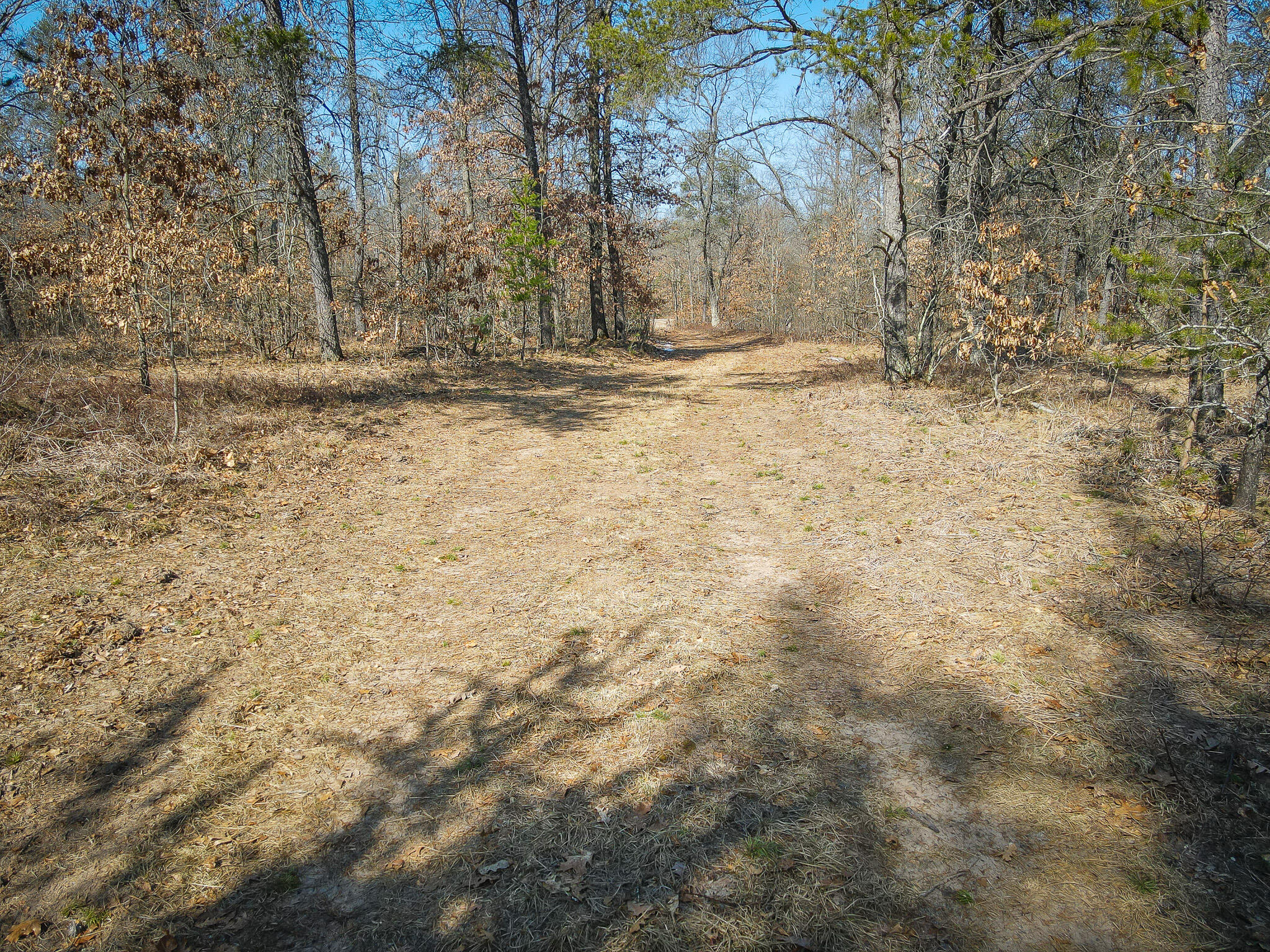 V/l Rybicki Road Free Soil, MI 49411 - Photo 33 of 51 DJI_0629