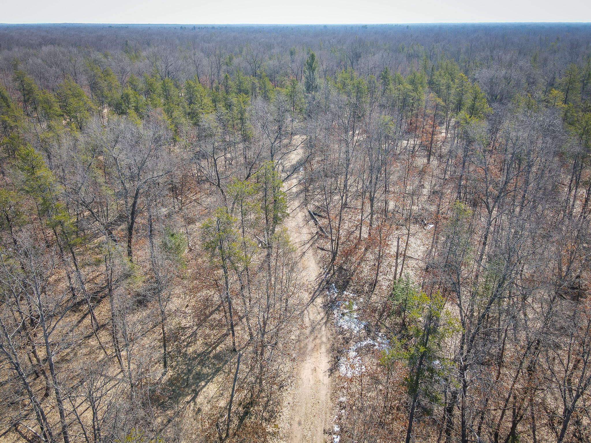 V/l Rybicki Road Free Soil, MI 49411 - Photo 35 of 51 DJI_0635