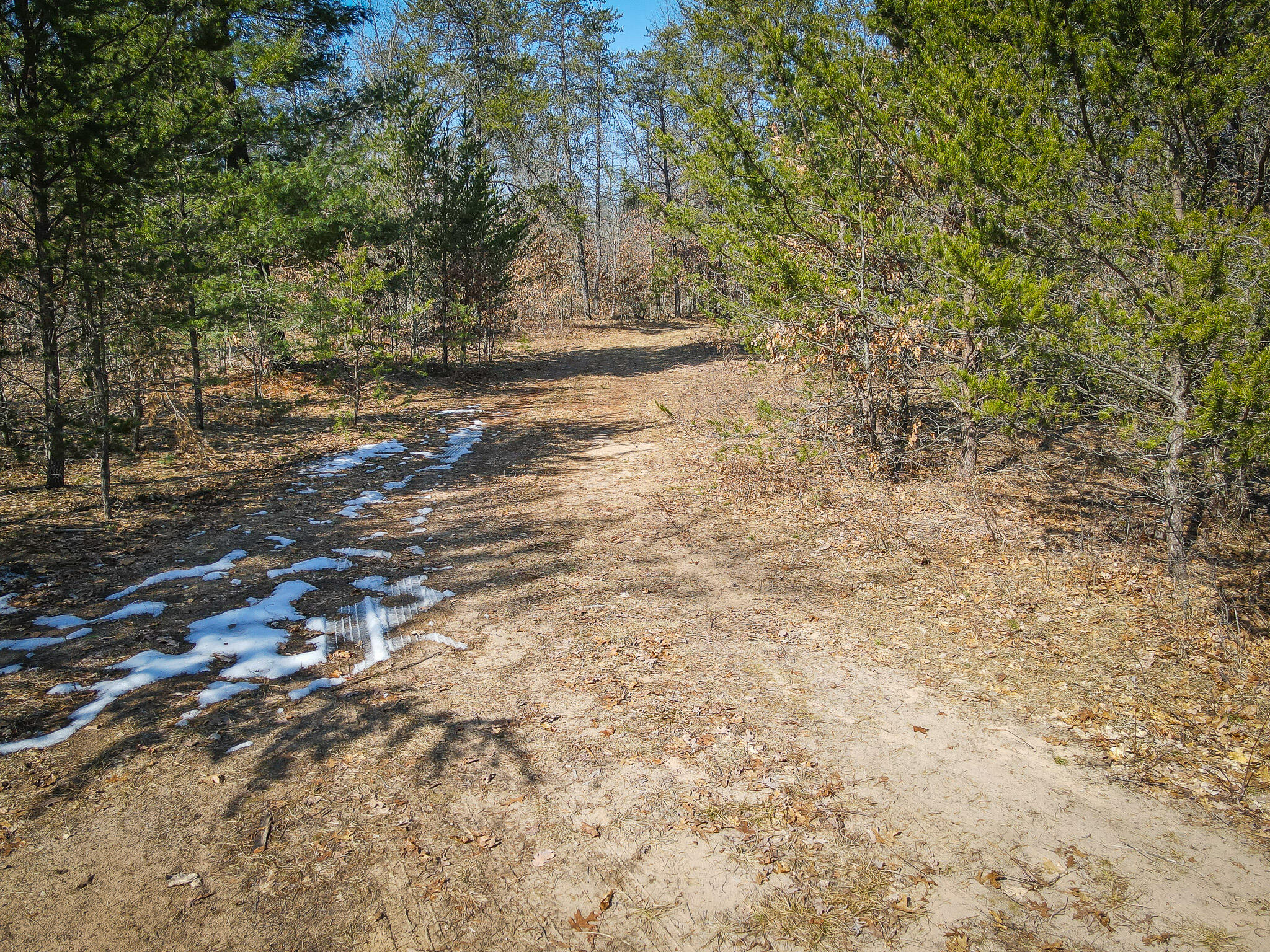 V/l Rybicki Road Free Soil, MI 49411 - Photo 37 of 51 DJI_0628