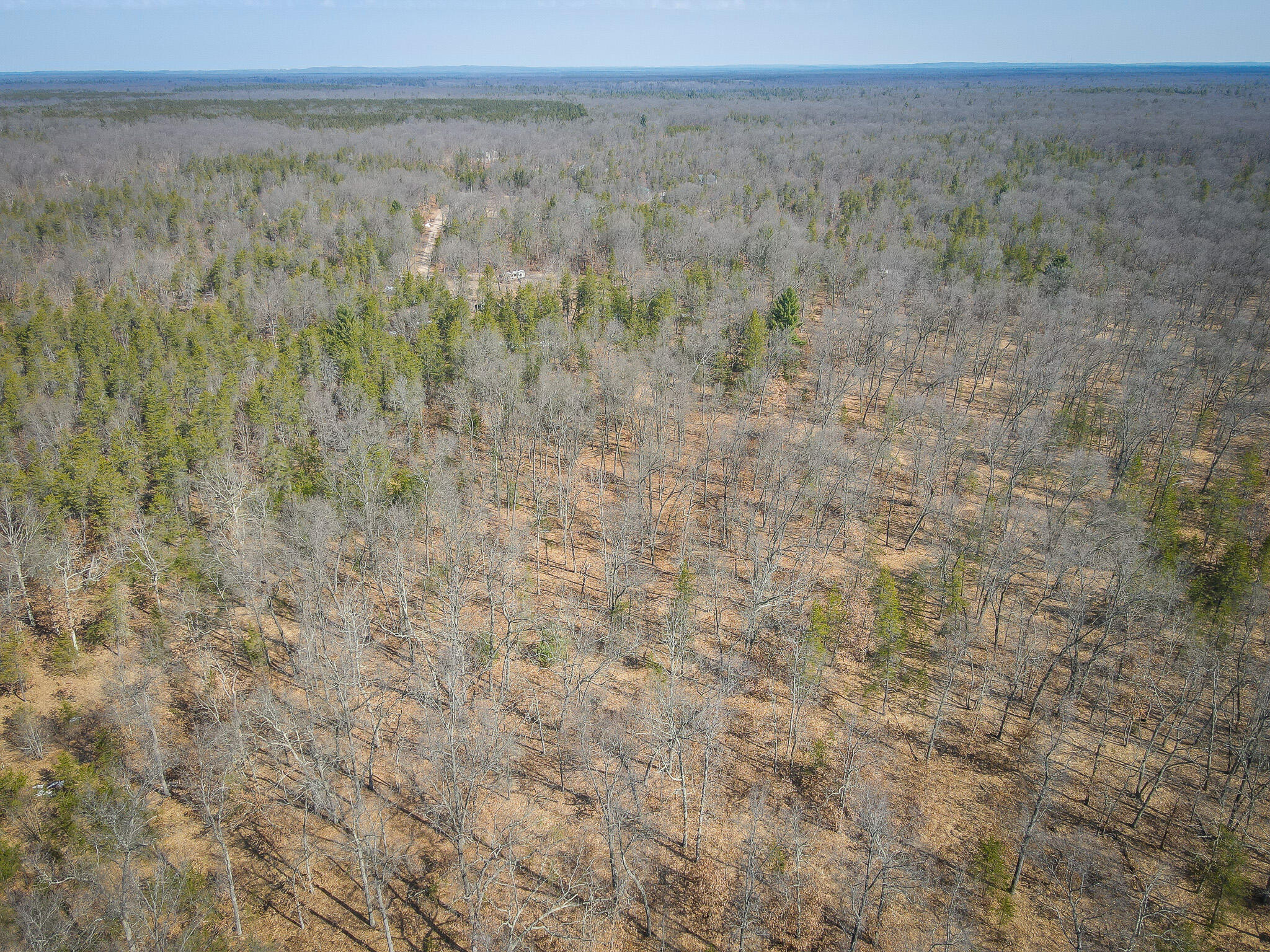 V/l Rybicki Road Free Soil, MI 49411 - Photo 38 of 51 DJI_0602