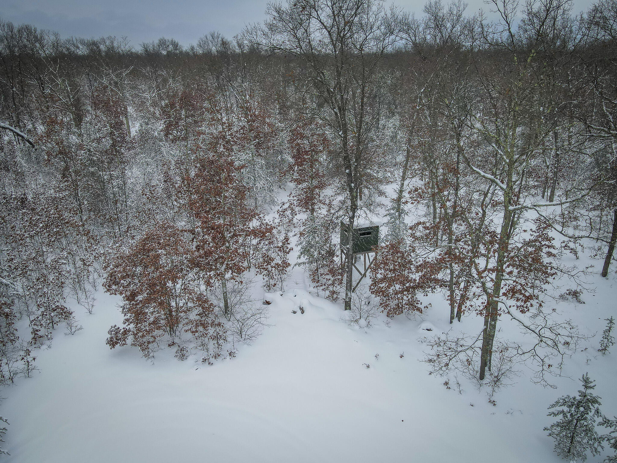 V/l Rybicki Road Free Soil, MI 49411 - Photo 4 of 27 DJI_0950