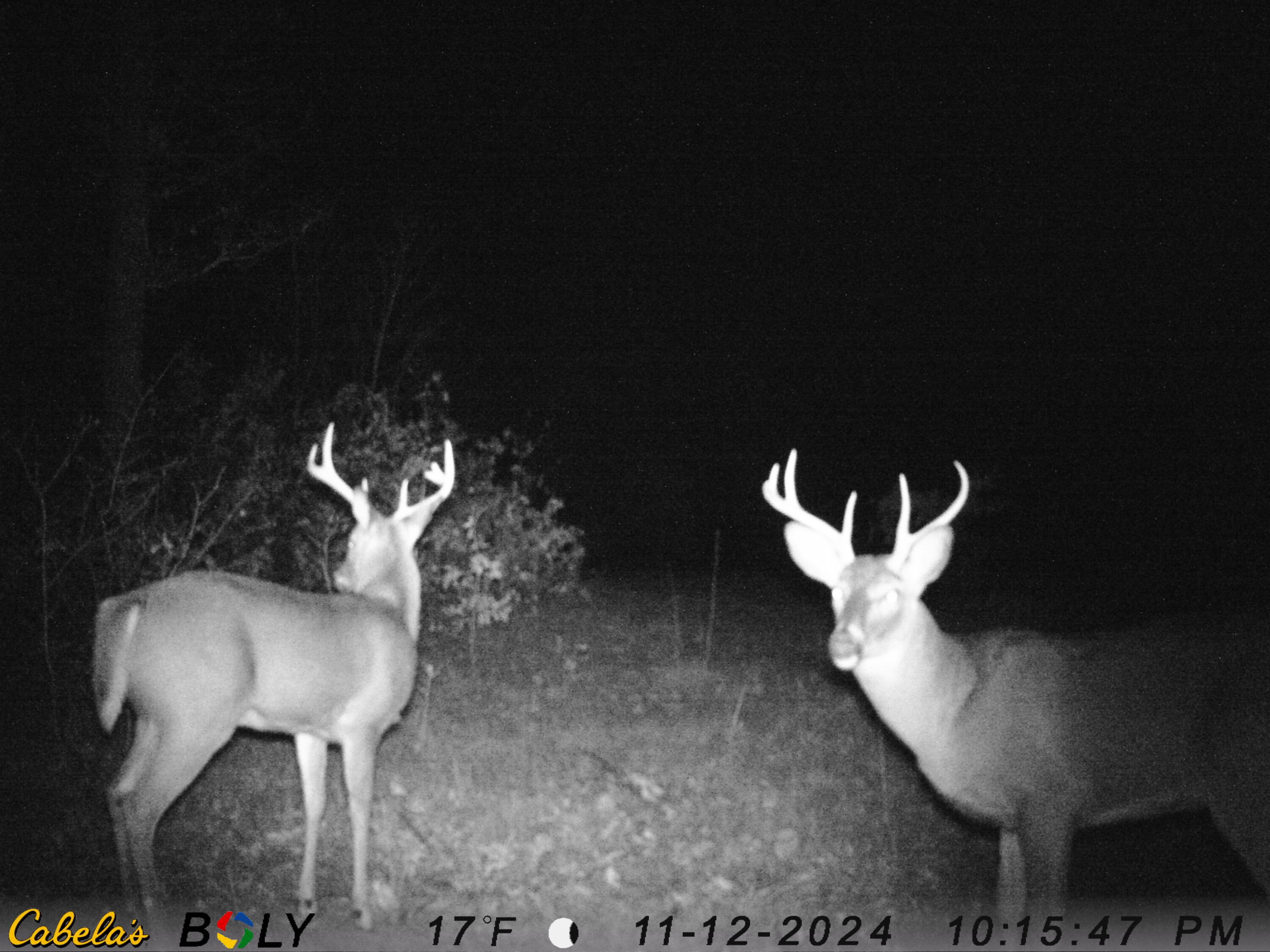 V/l Rybicki Road Free Soil, MI 49411 - Photo 5 of 27 IMAG0111