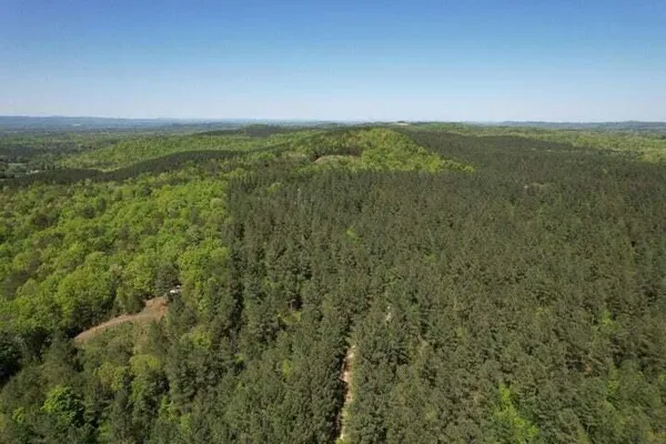 $555,000 | 0 Colbaugh Hollow Road, Decatur, TN 37322