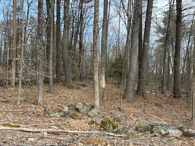 Tbd Tbd Road East Waterboro, ME 04030 - Photo 4 of 10 IMG_8199