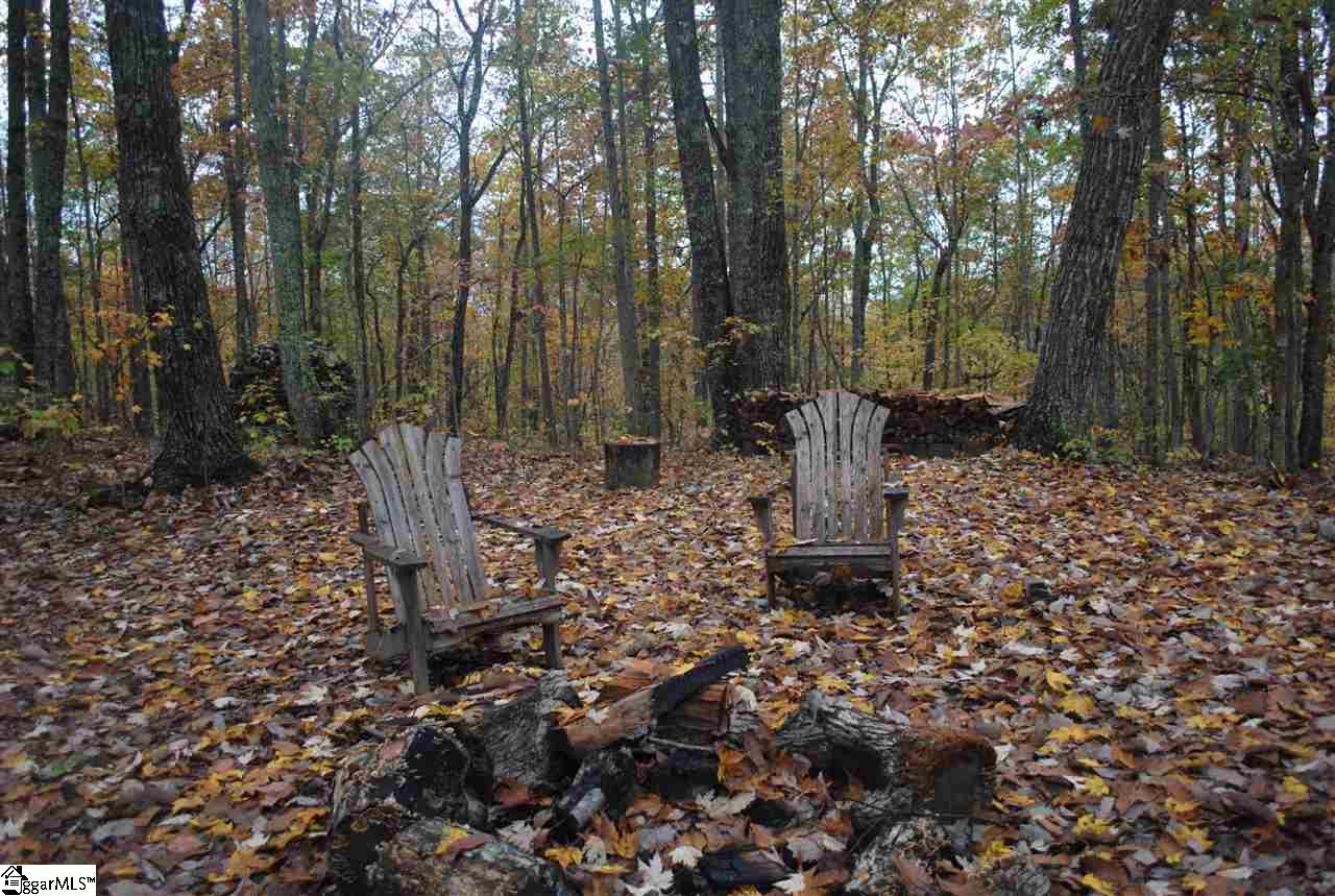 253 East Preston McDaniel Road Pickens, SC 29671 - Photo 32 of 35