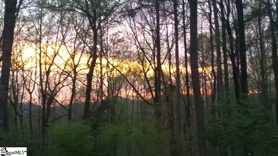 253 East Preston McDaniel Road Pickens, SC 29671 - Photo 34 of 35