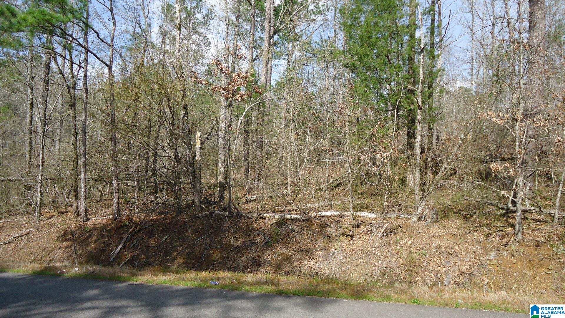 551 Grayton Road South Ohatchee, AL 36271 - Photo 10 of 12