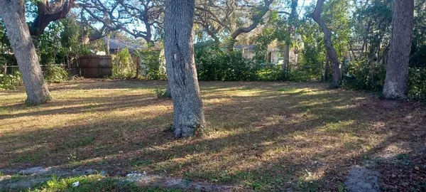 a view of a yard with trees