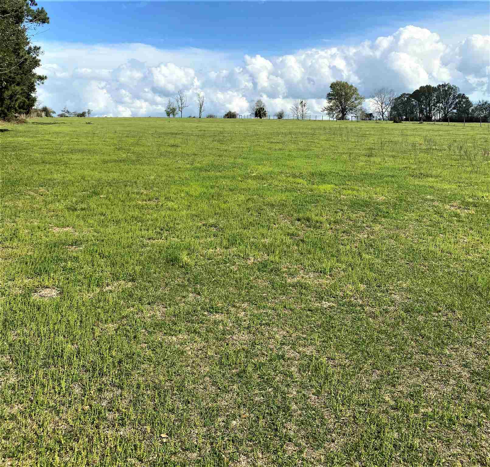 2735 Harvest Road Jay, FL 32565 - Photo 39 of 50