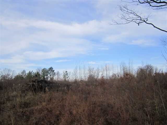 0 Poplar Grove Cemetary Road Henning, TN 38041 - Photo 2 of 3 Gallery Image 2