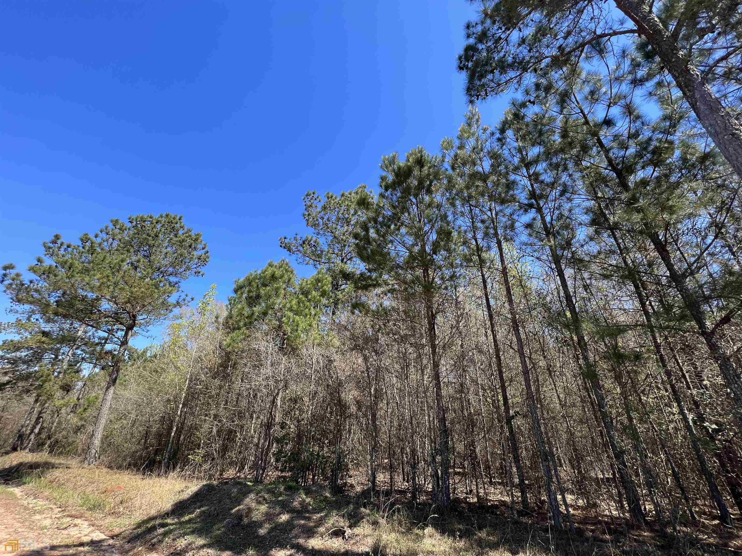 742 Joe Chambers Road Forsyth, GA 31029 - Photo 1 of 1