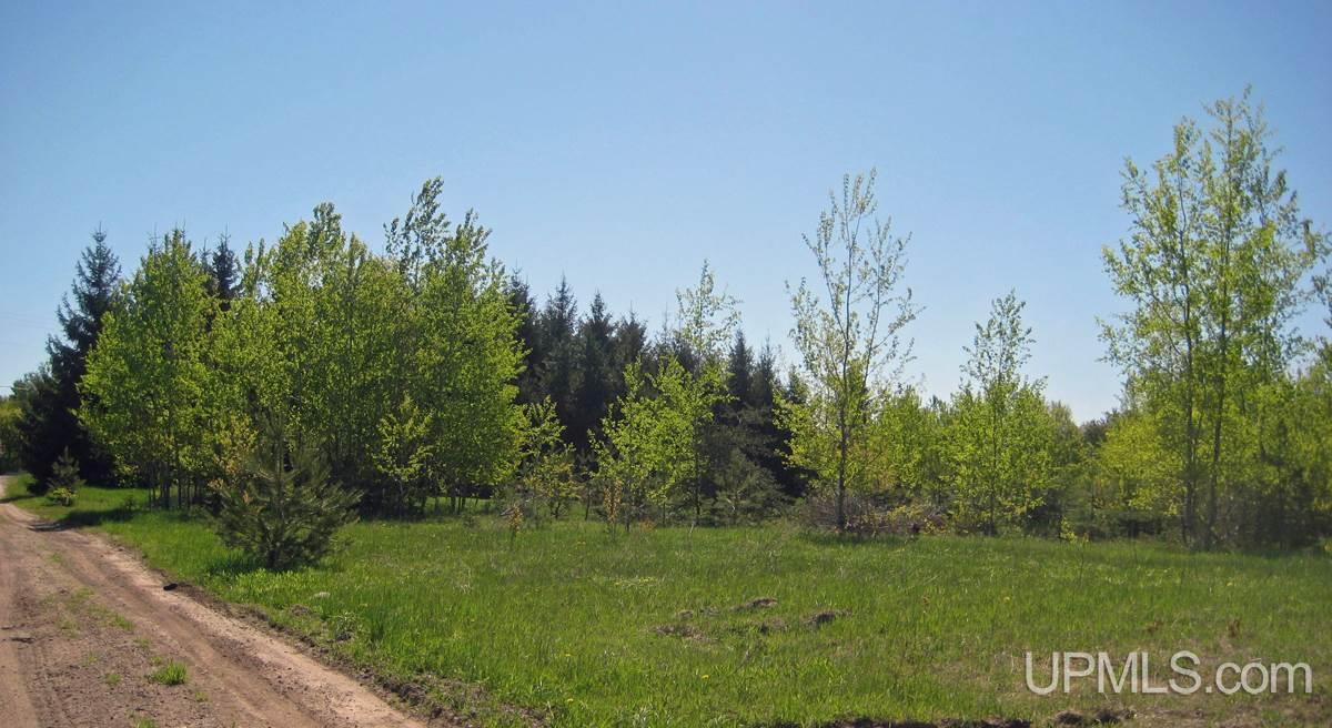 Lot G Connors Road Munising, MI 49862 - Photo 4 of 6