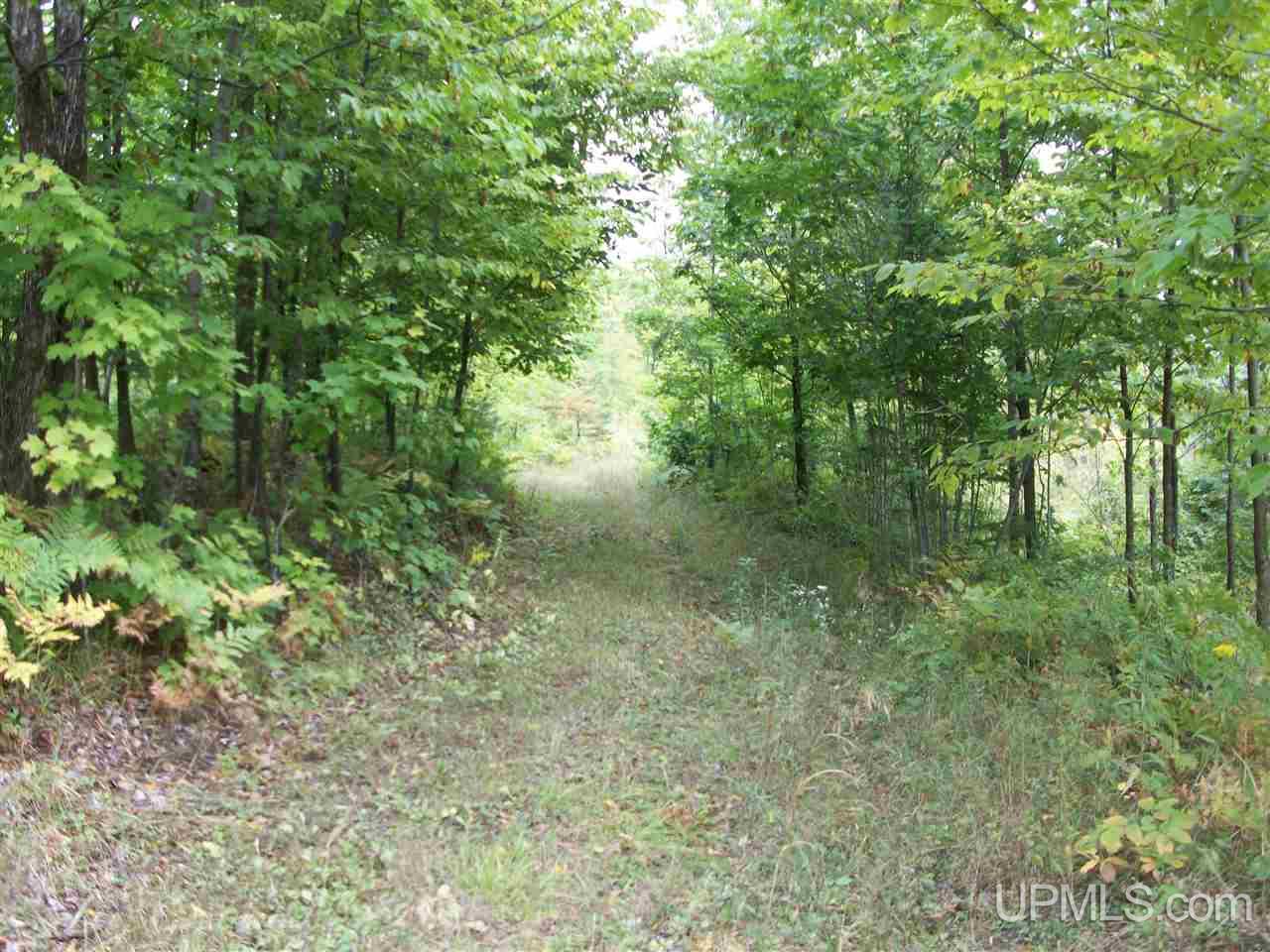 Tbd Fordville Road Foster City, MI 49807 - Photo 10 of 18