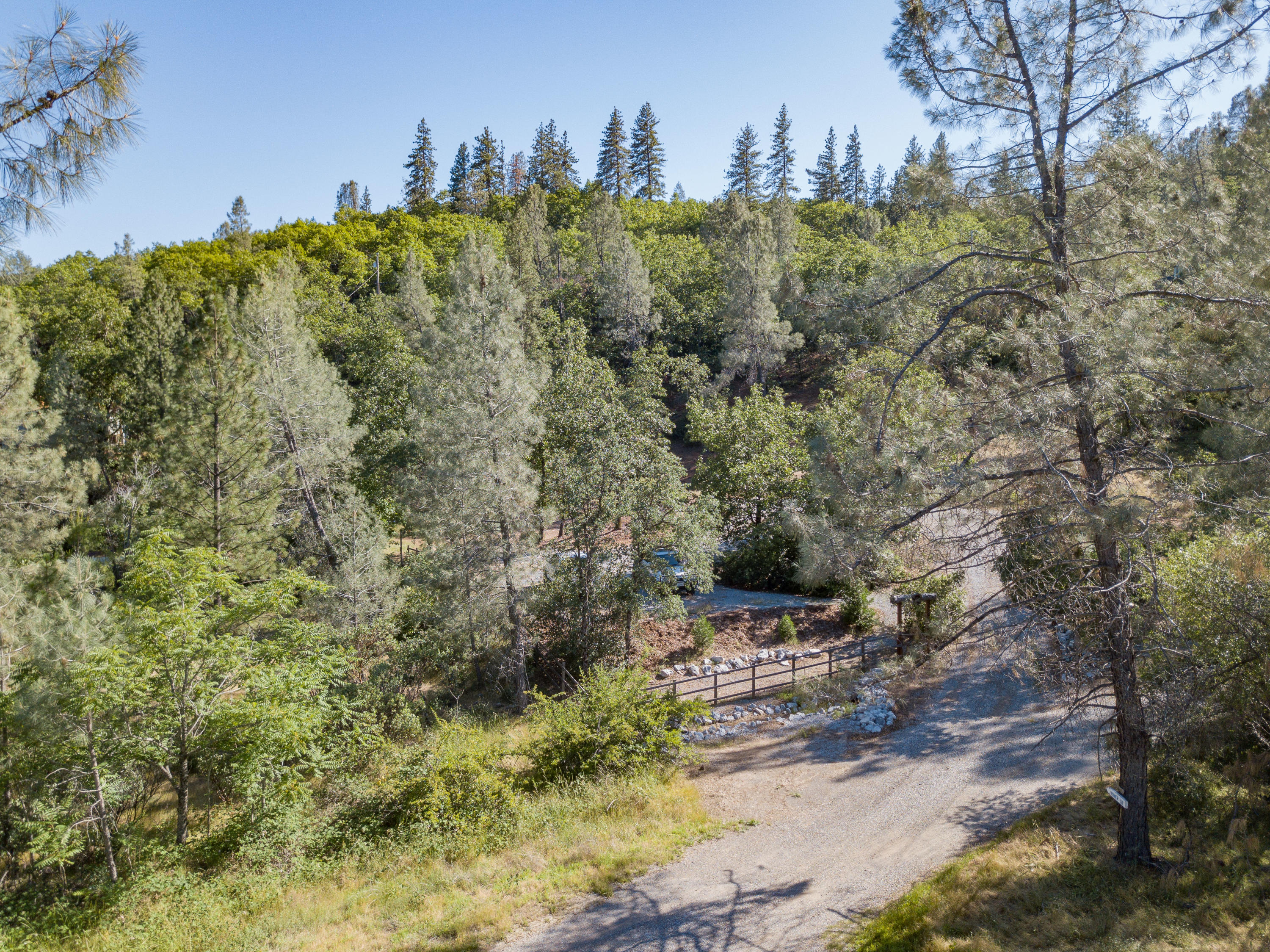 a view of a yard with trees
