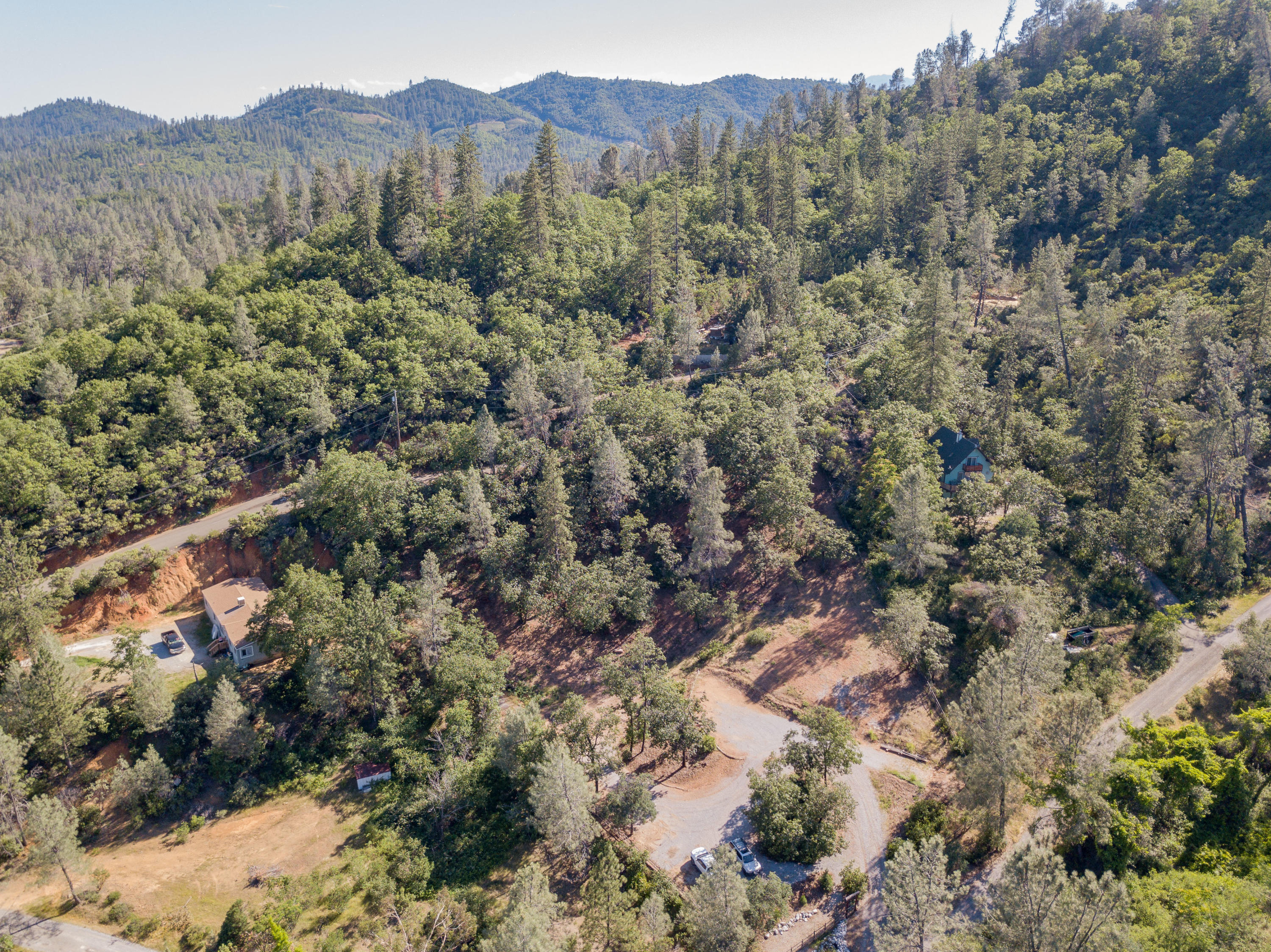 Homer Redding, CA 96001 - Photo 12 of 16 a view of a forest with a forest