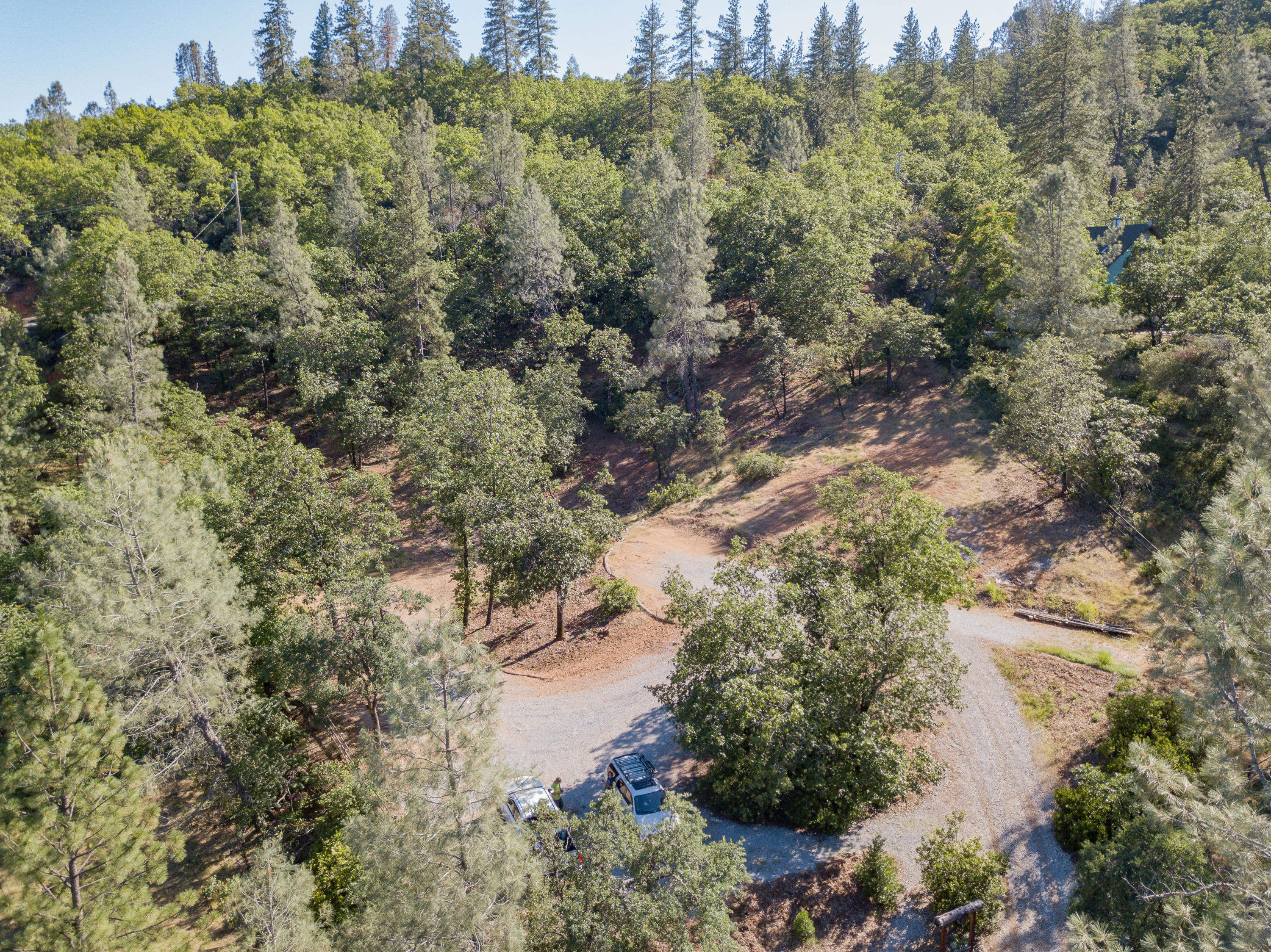 Homer Redding, CA 96001 - Photo 16 of 16 a view of a forest with a lake