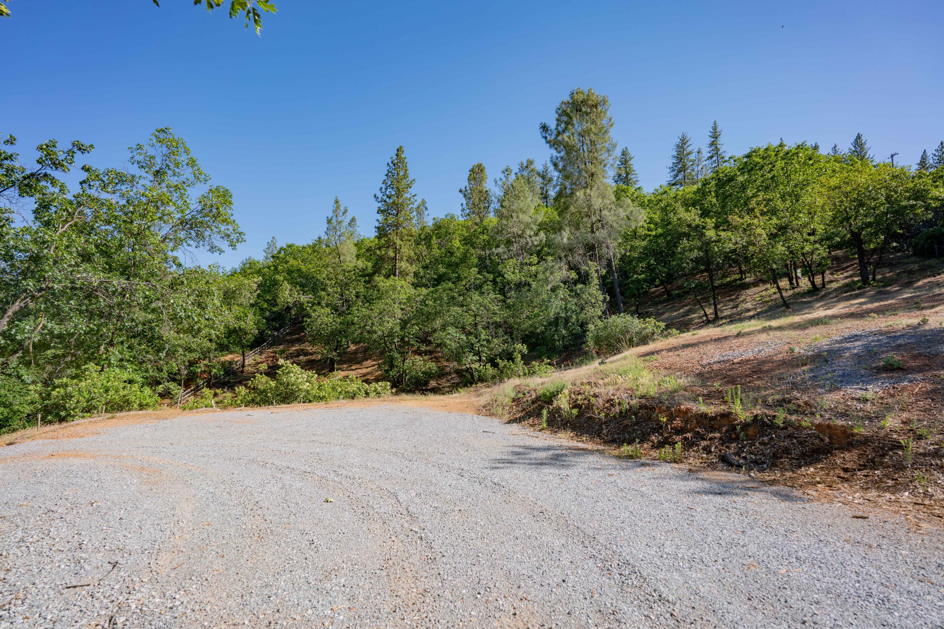 Homer Redding, CA 96001 - Photo 7 of 16 a view of a road with plants and a large parking space