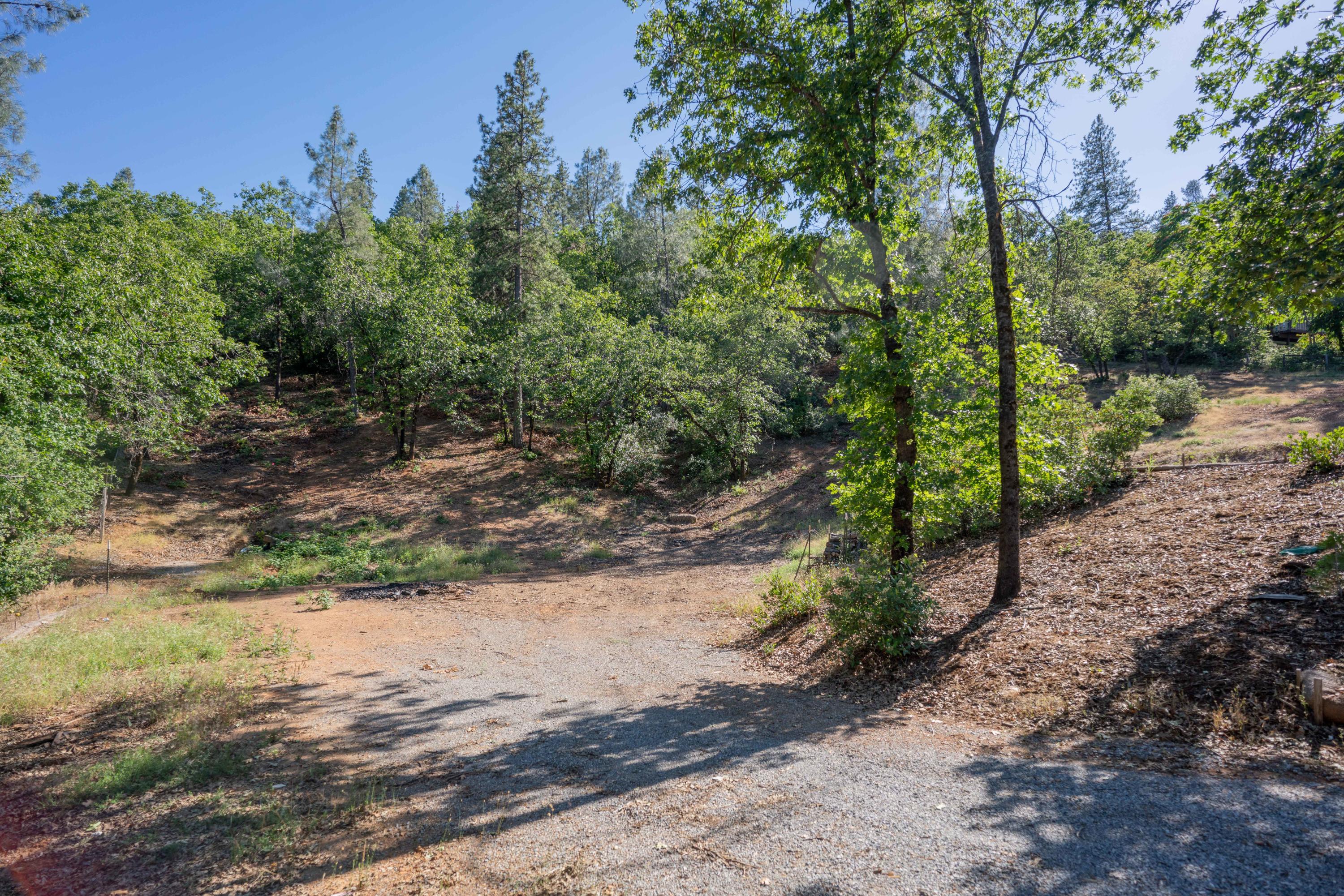 Homer Redding, CA 96001 - Photo 8 of 16 a view of a road with trees in the background
