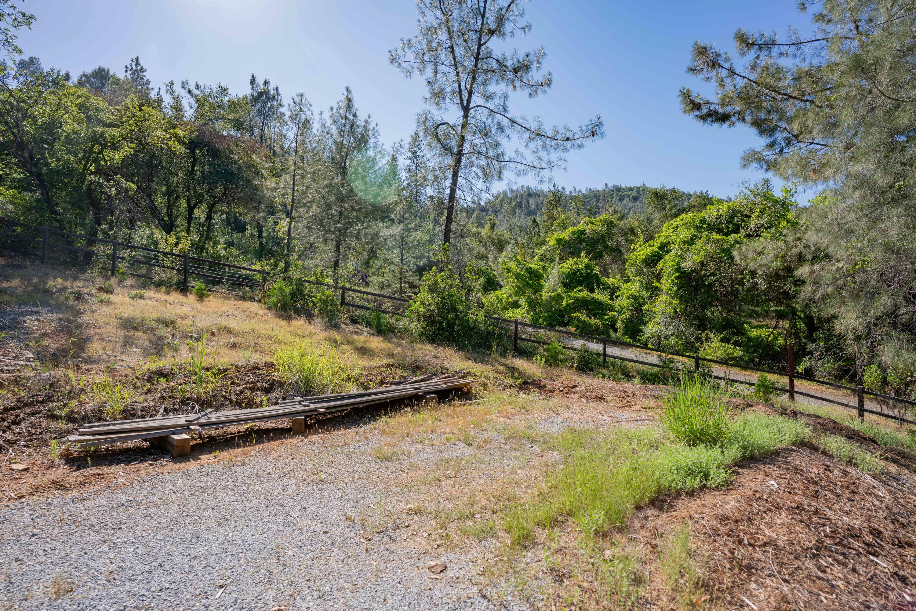 Homer Redding, CA 96001 - Photo 9 of 16 a view of a backyard with plants and trees