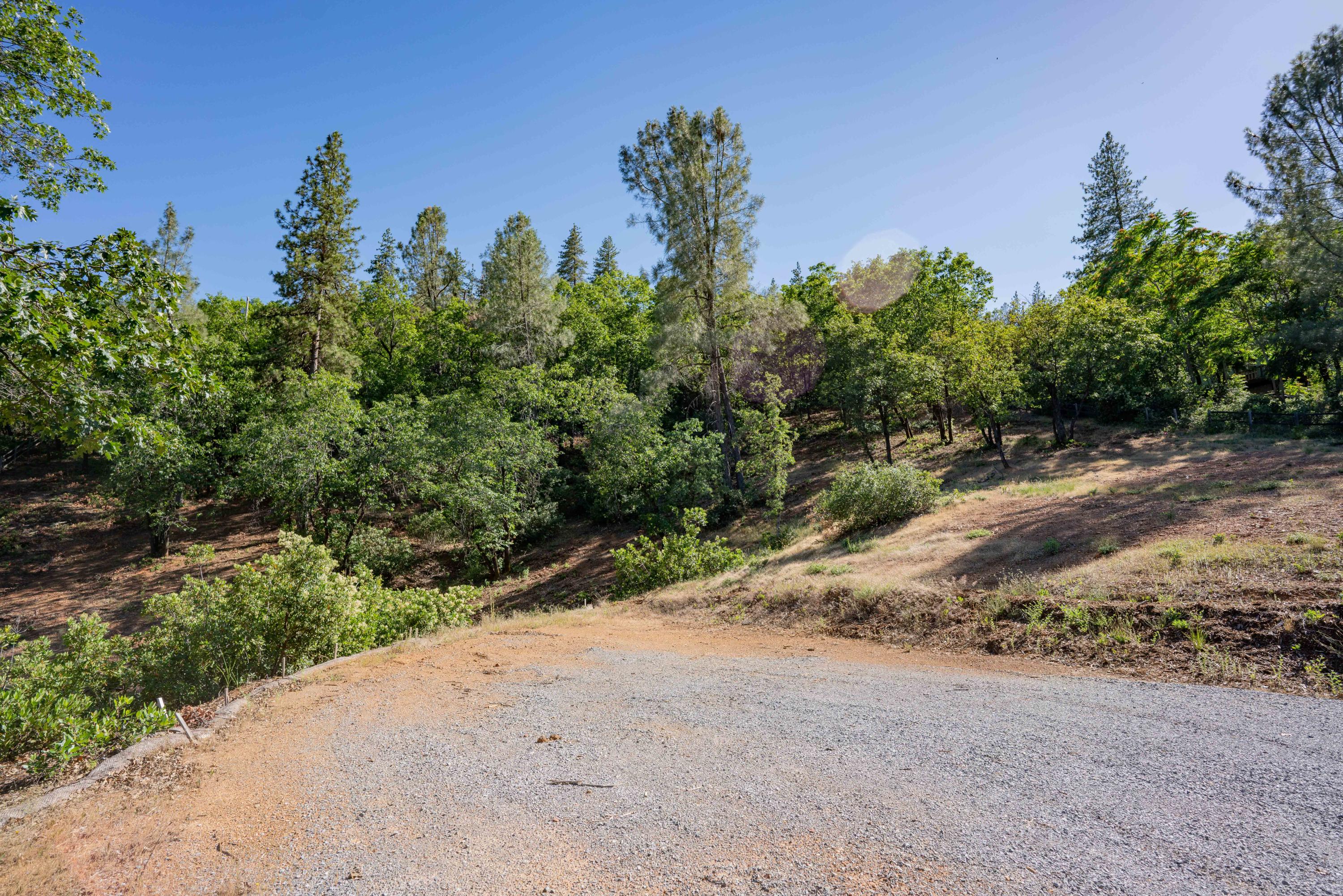 Homer Redding, CA 96001 - Photo 10 of 16 a view of a road with a plant in it