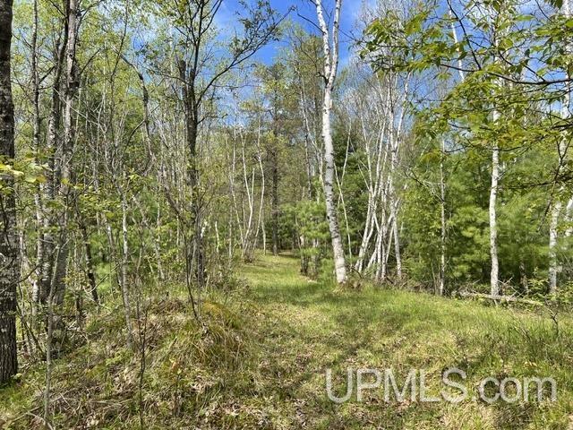 W8001 East Cataline Road Pembine, WI 54156 - Photo 21 of 27