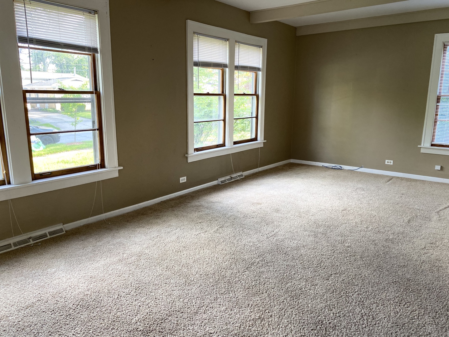 1256 Olive Road Homewood, IL 60430 - Photo 7 of 22