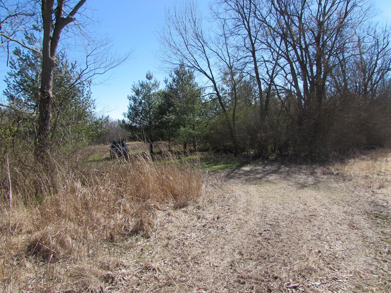 850 Austerlitz Road Paris, KY 40361 - Photo 12 of 12 Photo 12
