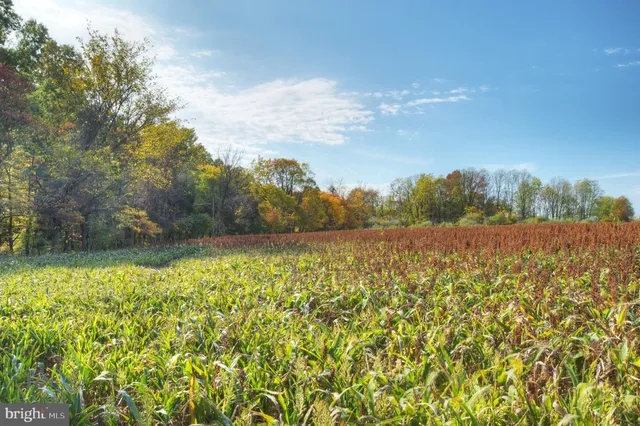 a view of lake and mountain