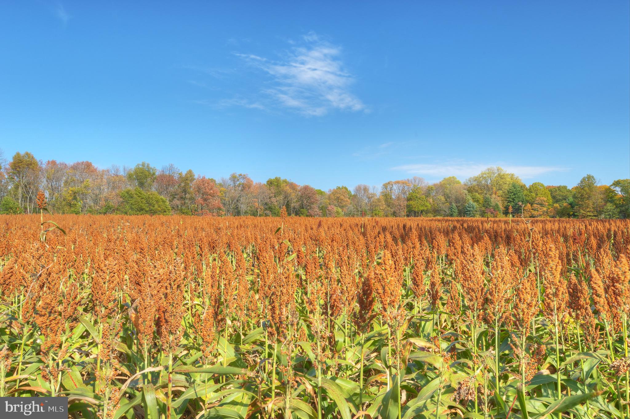 0 Mountain View Road Princeton, NJ 08540 - Photo 3 of 7 a view of lake and mountain