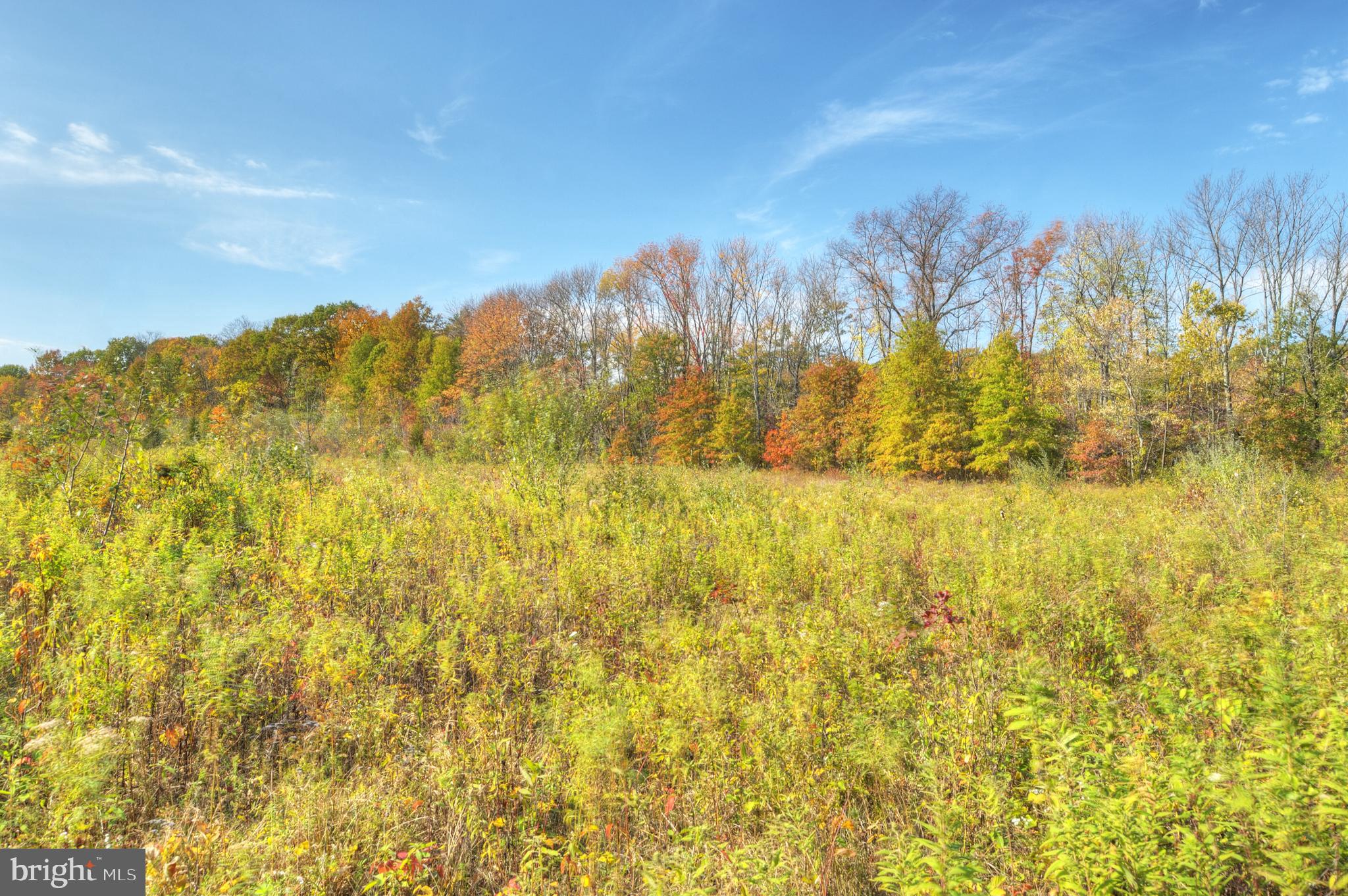 0 Mountain View Road Princeton, NJ 08540 - Photo 4 of 7