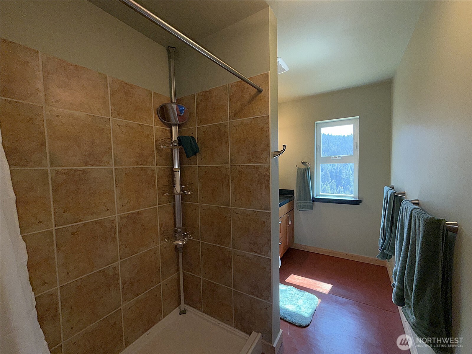 167 Excelsior Way Curlew, WA 99118 - Photo 12 of 37 a bathroom with a shower