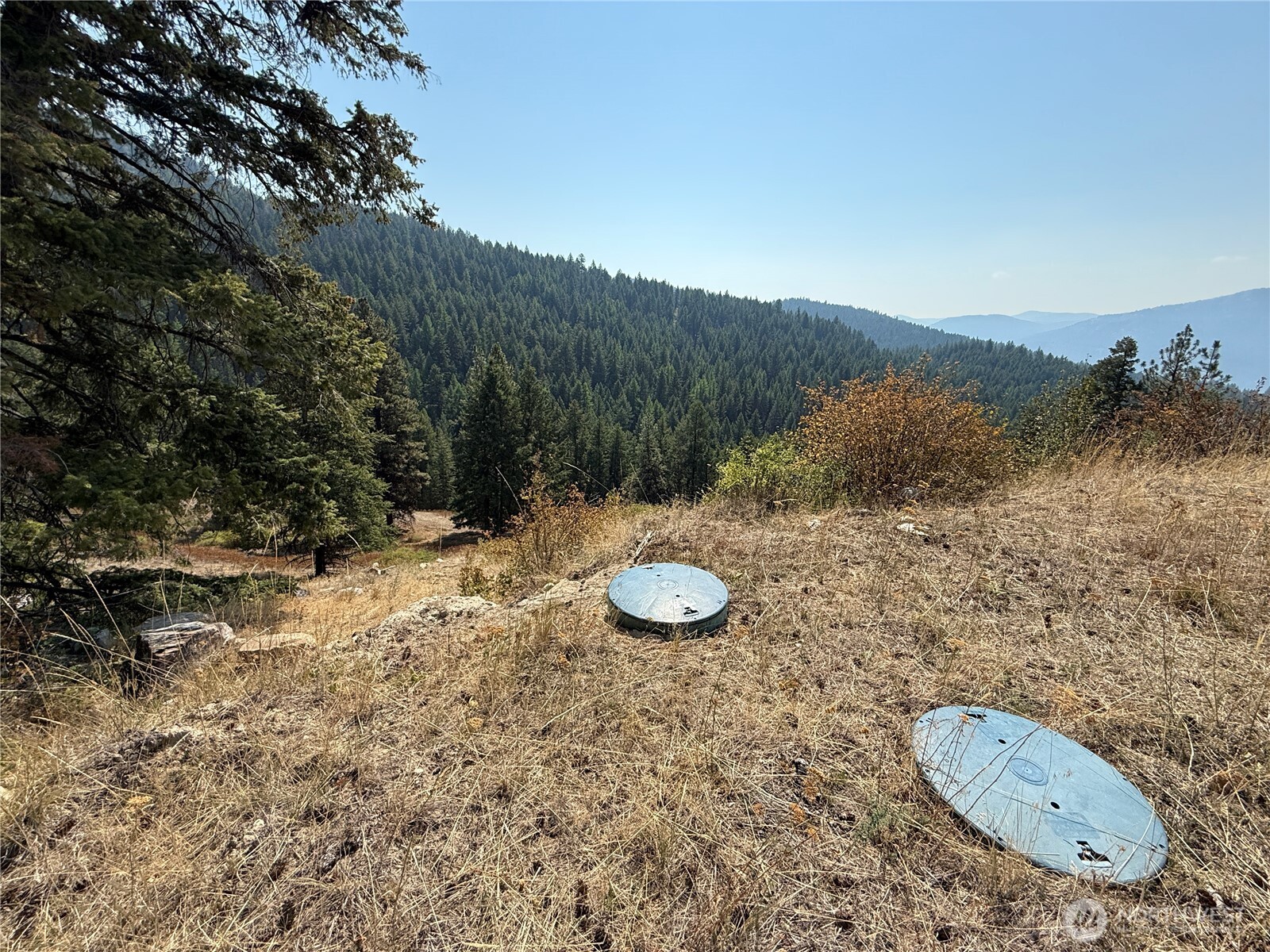 167 Excelsior Way Curlew, WA 99118 - Photo 27 of 37 a view of a backyard of a house