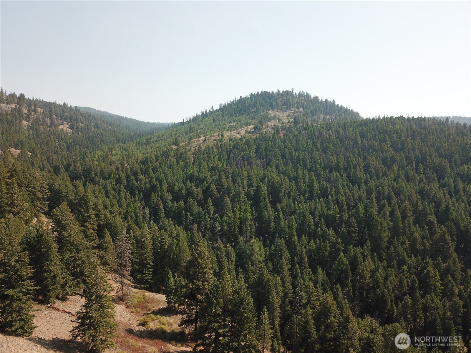 167 Excelsior Way Curlew, WA 99118 - Photo 34 of 37