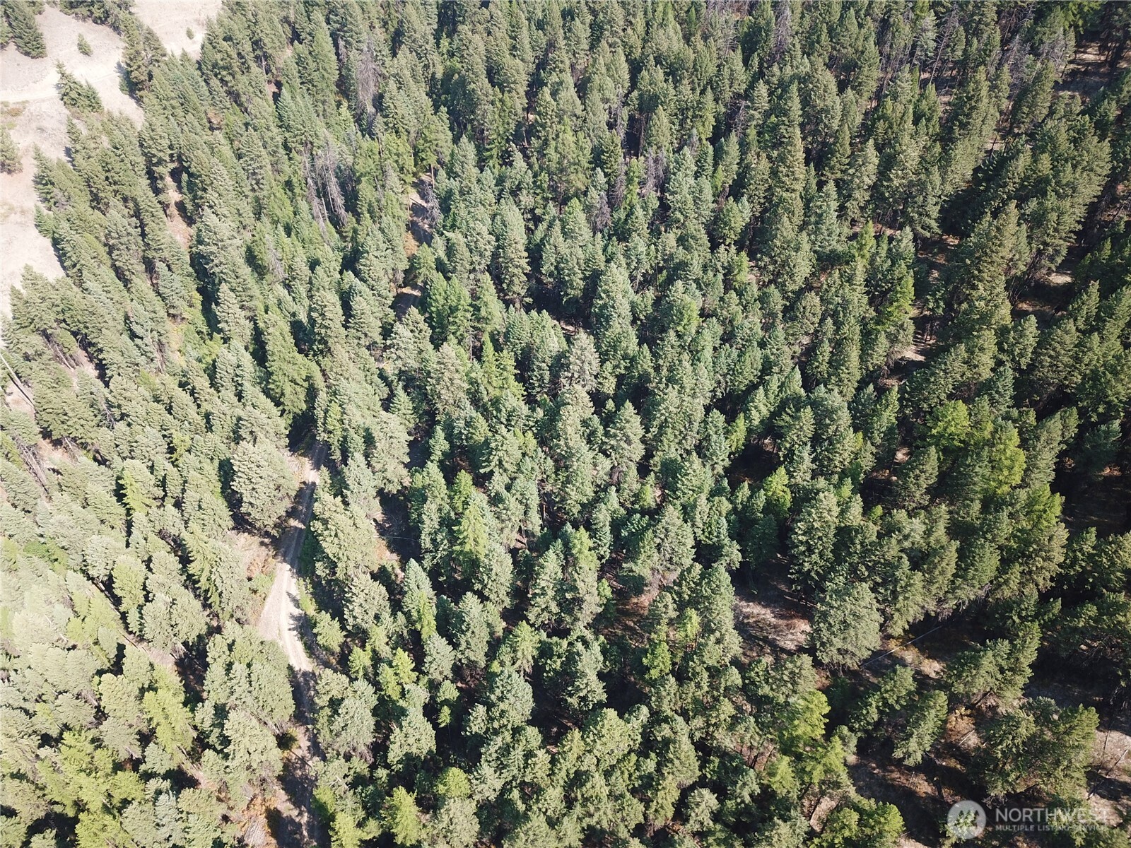 167 Excelsior Way Curlew, WA 99118 - Photo 37 of 37 a view of a yard