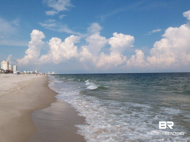 28395 Canal Road Orange Beach, AL 36561 - Photo 33 of 45 Copyright A. Norris 2015