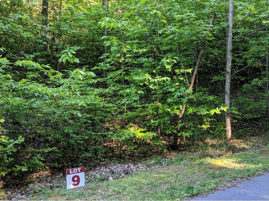 Lot 9 Pfeiffer Rdg Road, Unit 9 Johnson City, TN 37615 - Photo 9 of 14 Photo 9