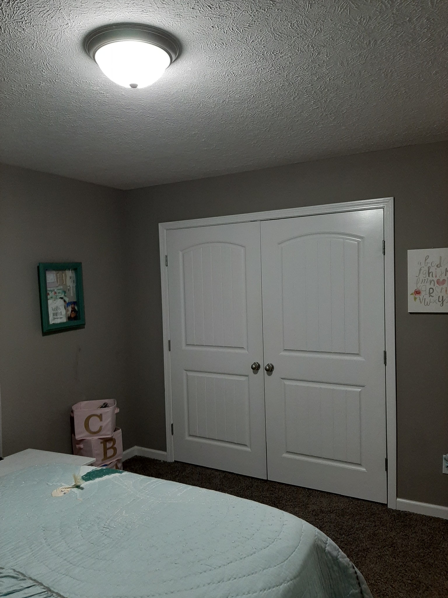 290 Blackey Bandy Road Bethpage, TN 37022 - Photo 16 of 23 Gallery Image 16