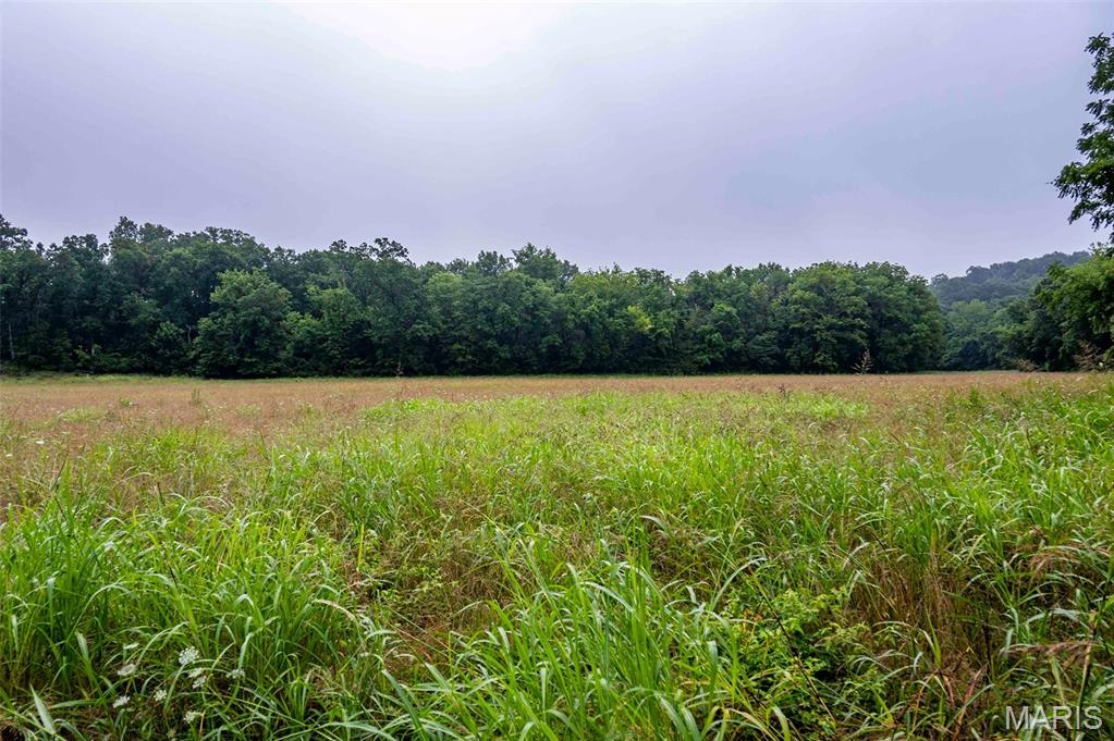 0 Talley Road Hartsburg, MO 65039 - Photo 43 of 97