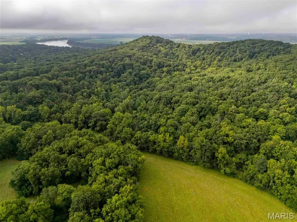 $4,084,000 | 0 Talley Road, Hartsburg, MO 65039