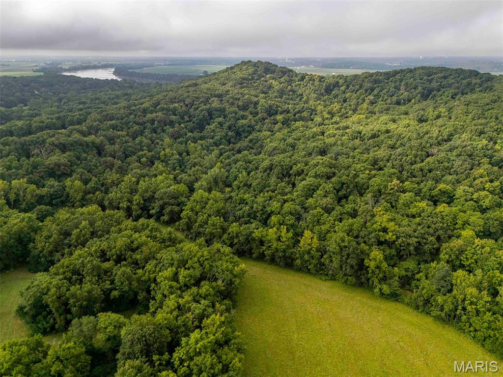 0 Talley Road Hartsburg, MO 65039 - Photo 44 of 97