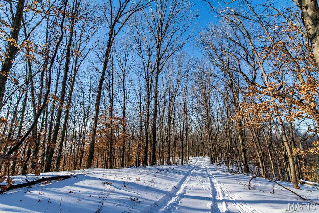 0 Talley Road Hartsburg, MO 65039 - Photo 46 of 97