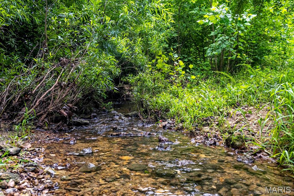 0 Talley Road Hartsburg, MO 65039 - Photo 50 of 97