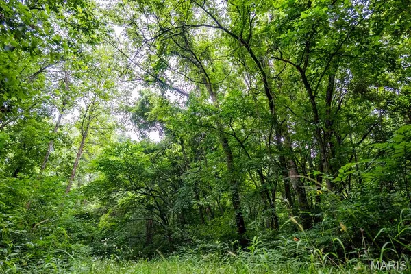 $4,084,000 | 0 Talley Road, Hartsburg, MO 65039