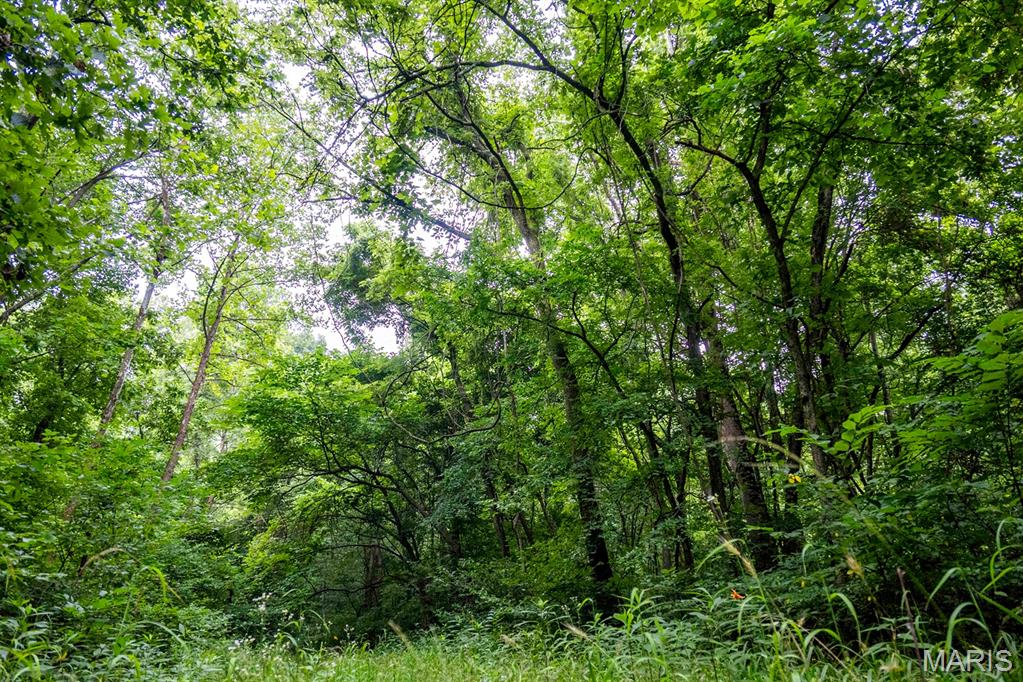 0 Talley Road Hartsburg, MO 65039 - Photo 51 of 97
