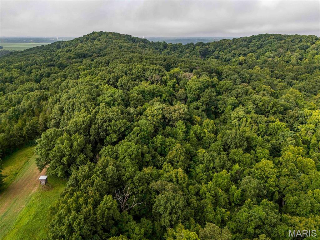 0 Talley Road Hartsburg, MO 65039 - Photo 54 of 97