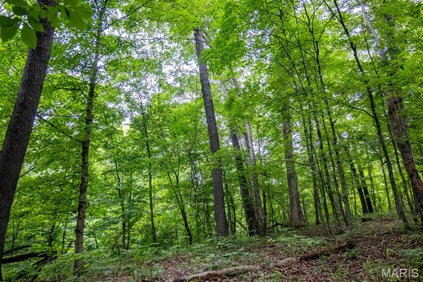 $4,084,000 | 0 Talley Road, Hartsburg, MO 65039